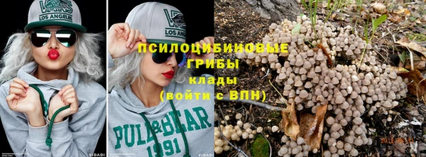 jwh Богородск