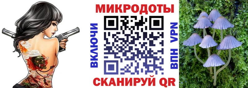 Галлюциногенные грибы ЛСД  купить  цена  Сретенск 